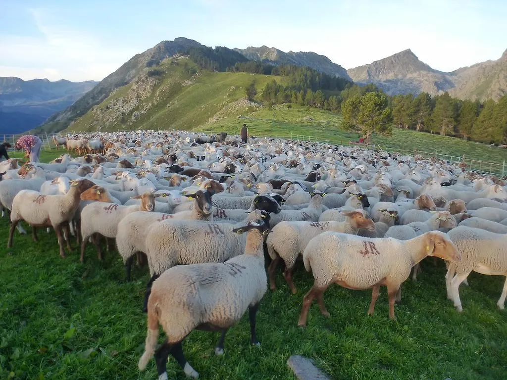 Gite A La Ferme Ax-les-Thermes Holiday home